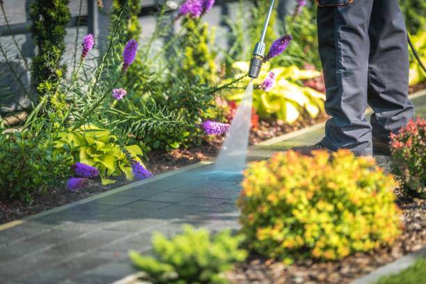 Best Parking Lot Cleaning in De Motte, IN